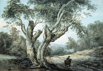 Une route à travers la forêt de Windsor